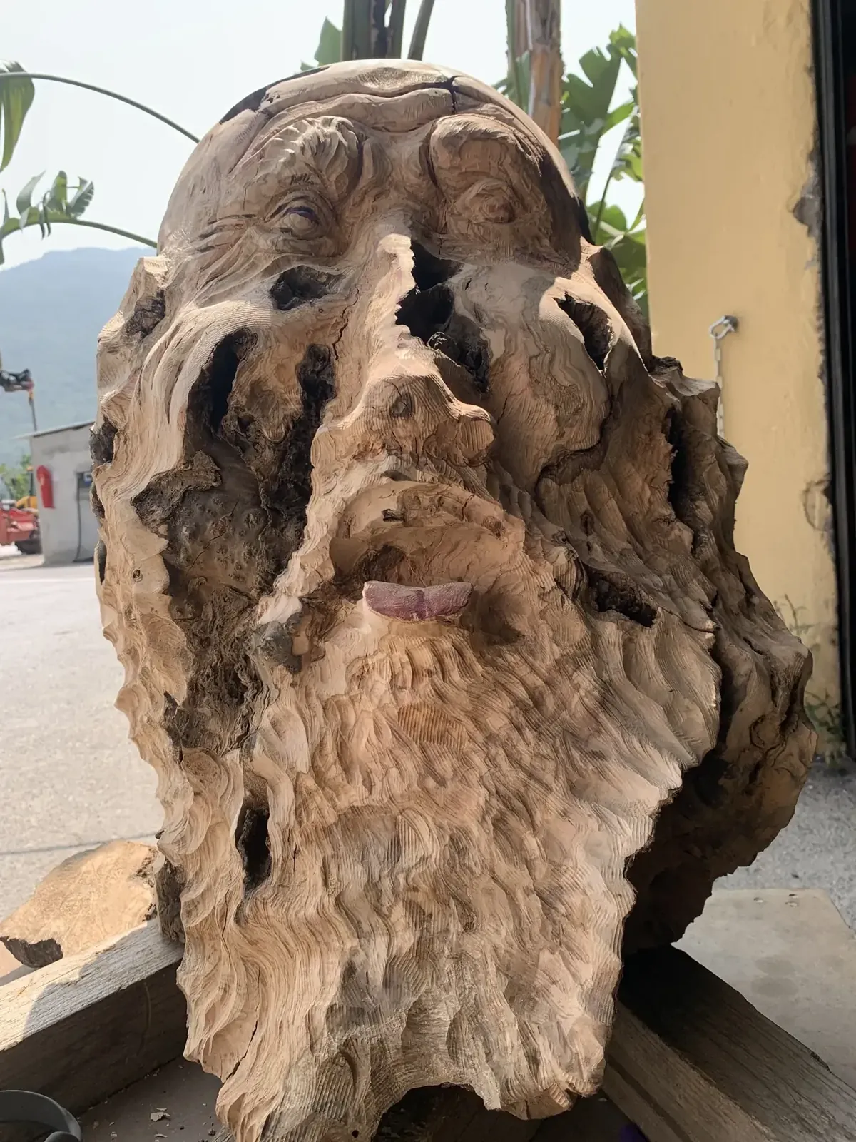 Visage sculpté dans le bois d’olivier par l’Atelier Nazarian